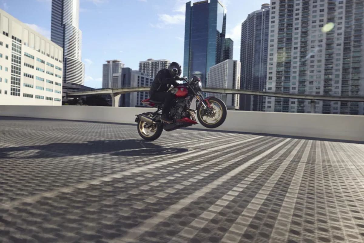 2026 Triumph Trident 800